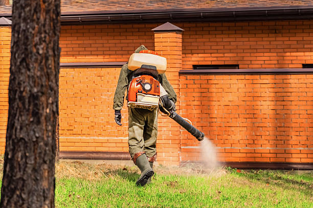 Trusted Termite Control service in Scappoose, OR - Nex Pest Control